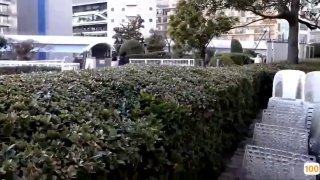 99精品视频影视